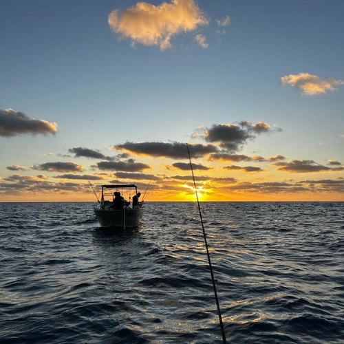 Mackay Mayhem: When the App Said "Perfect" But the Ocean Had Other Plans