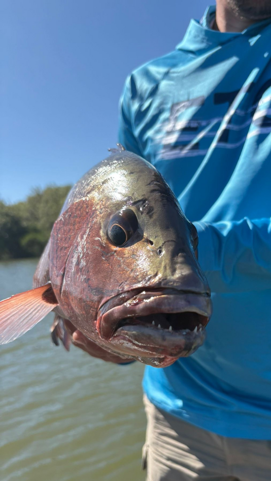 Person holding a large fish by a body of water